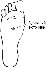 Иллюстрация к книге — Большой атлас целительных точек. Китайская медицина на страже здоровья и долголетия [_213.jpg]