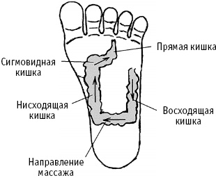 Иллюстрация к книге — Большой атлас целительных точек. Китайская медицина на страже здоровья и долголетия [_220.jpg]