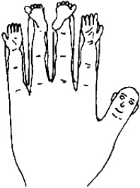 Иллюстрация к книге — Большой атлас целительных точек. Китайская медицина на страже здоровья и долголетия [_224.jpg]