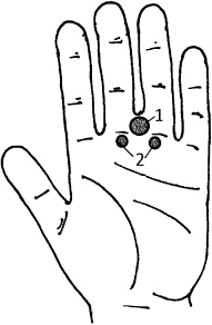 Иллюстрация к книге — Большой атлас целительных точек. Китайская медицина на страже здоровья и долголетия [_228.jpg]