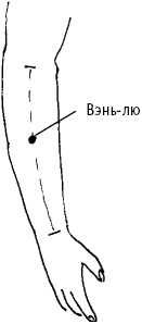 Иллюстрация к книге — Большой атлас целительных точек. Китайская медицина на страже здоровья и долголетия [_23.jpg]