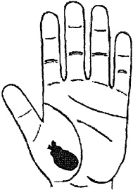 Иллюстрация к книге — Большой атлас целительных точек. Китайская медицина на страже здоровья и долголетия [_230.jpg]