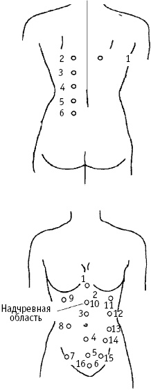 Иллюстрация к книге — Большой атлас целительных точек. Китайская медицина на страже здоровья и долголетия [_236.jpg]