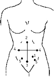 Иллюстрация к книге — Большой атлас целительных точек. Китайская медицина на страже здоровья и долголетия [_237.jpg]