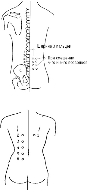 Иллюстрация к книге — Большой атлас целительных точек. Китайская медицина на страже здоровья и долголетия [_242.jpg]