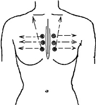 Иллюстрация к книге — Большой атлас целительных точек. Китайская медицина на страже здоровья и долголетия [_244.jpg]
