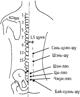 Иллюстрация к книге — Большой атлас целительных точек. Китайская медицина на страже здоровья и долголетия [_25.jpg]