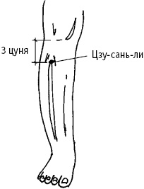 Иллюстрация к книге — Большой атлас целительных точек. Китайская медицина на страже здоровья и долголетия [_26.jpg]