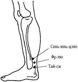 Иллюстрация к книге — Большой атлас целительных точек. Китайская медицина на страже здоровья и долголетия [_27.jpg]