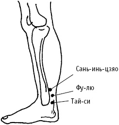 Иллюстрация к книге — Большой атлас целительных точек. Китайская медицина на страже здоровья и долголетия [_34.jpg]