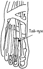 Иллюстрация к книге — Большой атлас целительных точек. Китайская медицина на страже здоровья и долголетия [_35.jpg]