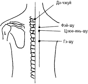 Иллюстрация к книге — Большой атлас целительных точек. Китайская медицина на страже здоровья и долголетия [_39.jpg]