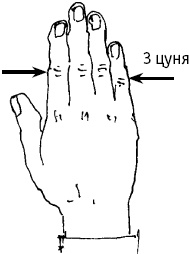 Иллюстрация к книге — Большой атлас целительных точек. Китайская медицина на страже здоровья и долголетия [_5.jpg]