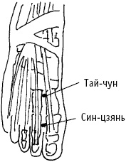 Иллюстрация к книге — Большой атлас целительных точек. Китайская медицина на страже здоровья и долголетия [_61.jpg]