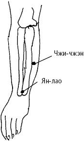Иллюстрация к книге — Большой атлас целительных точек. Китайская медицина на страже здоровья и долголетия [_63.jpg]