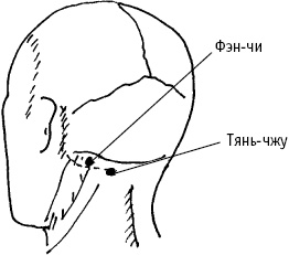 Иллюстрация к книге — Большой атлас целительных точек. Китайская медицина на страже здоровья и долголетия [_67.jpg]