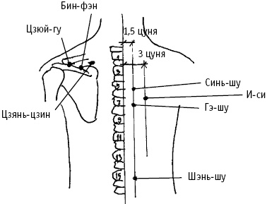 Иллюстрация к книге — Большой атлас целительных точек. Китайская медицина на страже здоровья и долголетия [_68.jpg]