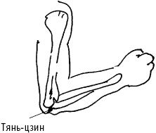 Иллюстрация к книге — Большой атлас целительных точек. Китайская медицина на страже здоровья и долголетия [_69.jpg]