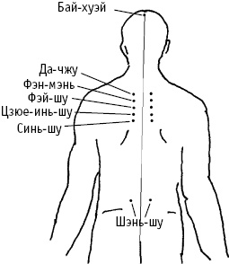 Иллюстрация к книге — Большой атлас целительных точек. Китайская медицина на страже здоровья и долголетия [_7.jpg]