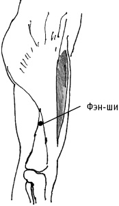 Иллюстрация к книге — Большой атлас целительных точек. Китайская медицина на страже здоровья и долголетия [_74.jpg]