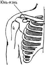 Иллюстрация к книге — Большой атлас целительных точек. Китайская медицина на страже здоровья и долголетия [_77.jpg]