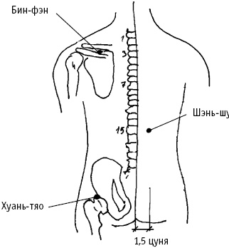 Иллюстрация к книге — Большой атлас целительных точек. Китайская медицина на страже здоровья и долголетия [_78.jpg]