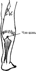 Иллюстрация к книге — Большой атлас целительных точек. Китайская медицина на страже здоровья и долголетия [_82.jpg]