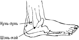 Иллюстрация к книге — Большой атлас целительных точек. Китайская медицина на страже здоровья и долголетия [_84.jpg]