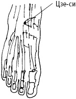 Иллюстрация к книге — Большой атлас целительных точек. Китайская медицина на страже здоровья и долголетия [_85.jpg]