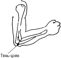 Иллюстрация к книге — Большой атлас целительных точек. Китайская медицина на страже здоровья и долголетия [_88.jpg]