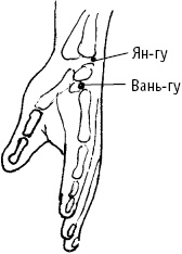 Иллюстрация к книге — Большой атлас целительных точек. Китайская медицина на страже здоровья и долголетия [_92.jpg]