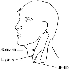 Иллюстрация к книге — Большой атлас целительных точек. Китайская медицина на страже здоровья и долголетия [_99.jpg]