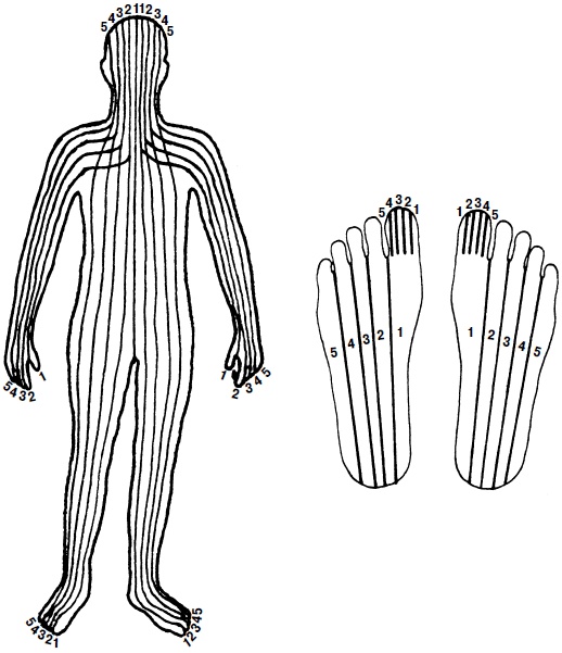 Иллюстрация к книге — Целительные точки нашего тела. Практический атлас [i_001.jpg]