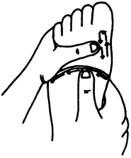 Иллюстрация к книге — Целительные точки нашего тела. Практический атлас [i_008.jpg]