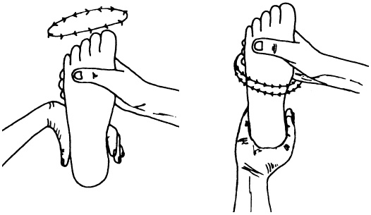 Иллюстрация к книге — Целительные точки нашего тела. Практический атлас [i_024.jpg]