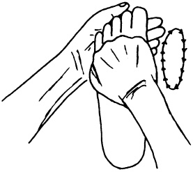 Иллюстрация к книге — Целительные точки нашего тела. Практический атлас [i_032.jpg]