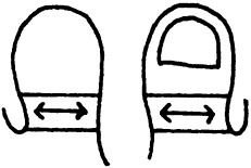 Иллюстрация к книге — Целительные точки нашего тела. Практический атлас [i_040.jpg]