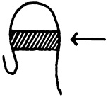 Иллюстрация к книге — Целительные точки нашего тела. Практический атлас [i_043.jpg]