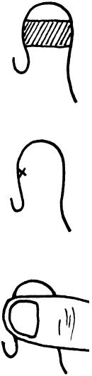 Иллюстрация к книге — Целительные точки нашего тела. Практический атлас [i_044.jpg]