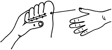 Иллюстрация к книге — Целительные точки нашего тела. Практический атлас [i_045.jpg]