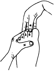 Иллюстрация к книге — Целительные точки нашего тела. Практический атлас [i_055.jpg]