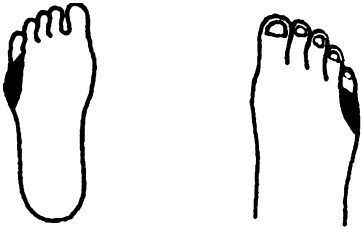 Иллюстрация к книге — Целительные точки нашего тела. Практический атлас [i_066.jpg]