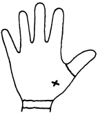 Иллюстрация к книге — Целительные точки нашего тела. Практический атлас [i_076.jpg]