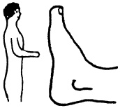 Иллюстрация к книге — Целительные точки нашего тела. Практический атлас [i_093.jpg]