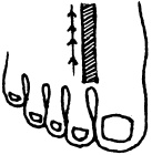 Иллюстрация к книге — Целительные точки нашего тела. Практический атлас [i_113.jpg]