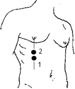 Иллюстрация к книге — Китайский императорский массаж. Лечение 100 болезней с помощью банок. Большой атлас зон исцеления [_13.jpg]