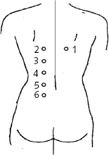 Иллюстрация к книге — Китайский императорский массаж. Лечение 100 болезней с помощью банок. Большой атлас зон исцеления [_18.jpg]