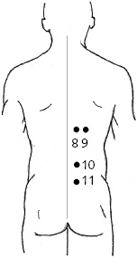 Иллюстрация к книге — Китайский императорский массаж. Лечение 100 болезней с помощью банок. Большой атлас зон исцеления [_28.jpg]