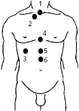 Иллюстрация к книге — Китайский императорский массаж. Лечение 100 болезней с помощью банок. Большой атлас зон исцеления [_29.jpg]