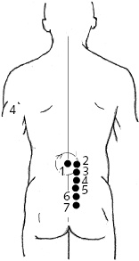 Иллюстрация к книге — Китайский императорский массаж. Лечение 100 болезней с помощью банок. Большой атлас зон исцеления [_31.jpg]